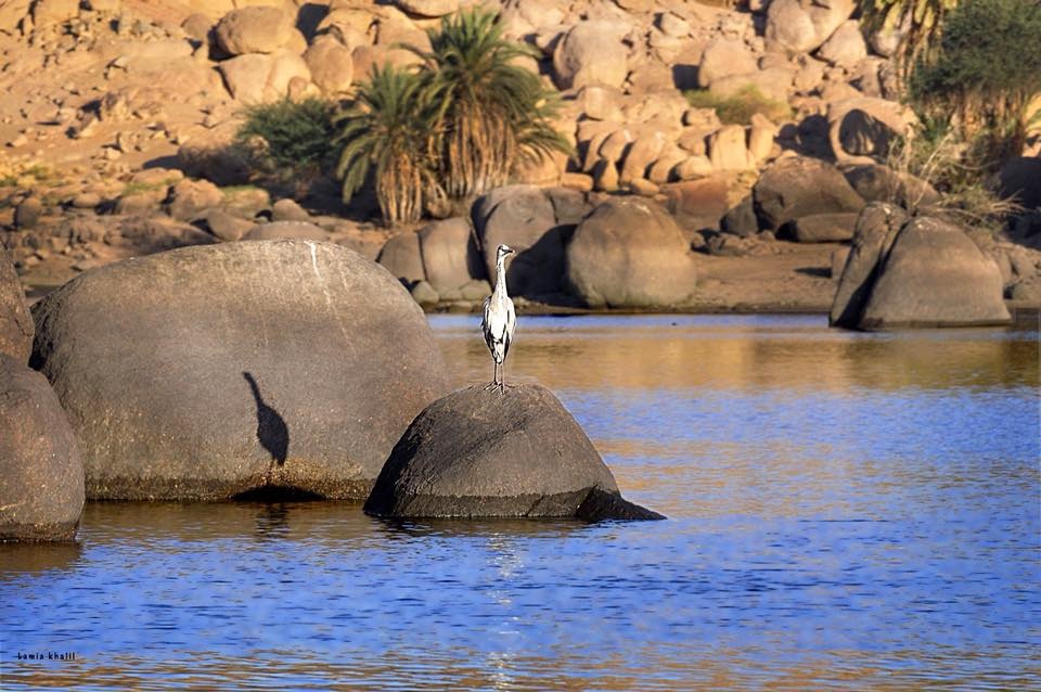 ASWAN